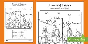A Sense of Autumn Colour by Number Activity Sheet - A, Sense, of, Autumn, seasons, worksheet, Aistear, school trip, forest, blackberries, squirrels, lea