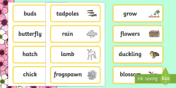 Spring Word Cards - Word cards, Spring, Word Card, flashcard, flashcards, lambs, daffodils, new life, flowers, buds, plants, growth