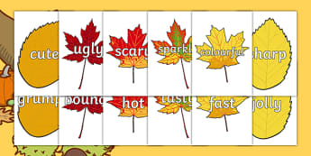 Wow Words on Autumn Leaves - Wow words, adjectives, VCOP, describing, Wow, display, poster, wow display, tasty, scary, ugly, beautiful, colourful sharp, bouncy