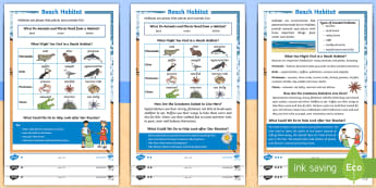 KS1 Beach Habitat Differentiated Reading Comprehension Activity - Seaside, Who, Lives, Plants, Animals