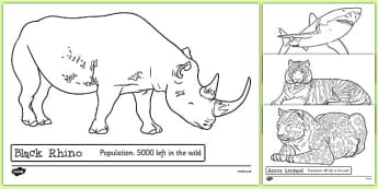 Endangered Animals Colouring Sheets - endangered, animals, colouring sheets, colouring, colour