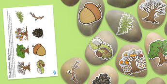 Woodland Plants Story Stone Image Cut Outs - woodland plants, story stone, image, cut outs