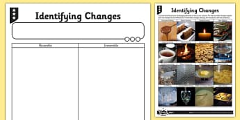 Differentiated Identifying Changes Activity Sheet - irreversible, reaction, reversible, chemical, physical, worksheet