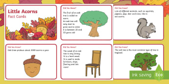 Little Acorns Fact Cards - Twinkl originals, fiction, story, KS1, EYFS, seasons, oak tree, nature, autumn, seasons, oak, growin