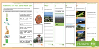 Environmental Change in Borneo Virtual Reality Learning and Activity Pack To Support Teaching On Google Expeditions - virtual reality, expedition, explore, environment. change, impact, rainforest, Borneo, deforestation