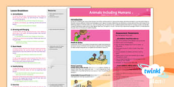 Science: Animals Including Humans Year 2 Planning Overview