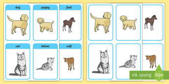 Animals and Their Young Matching Cards - animals, animal, young, animal babies, animal children, puppy, kitten, foal, dog, cat, horse
