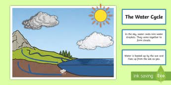 Water Cycle Display - water, water cycle, display, science