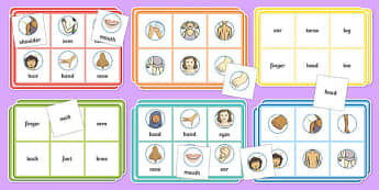 Body Bingo - body, bingo, skeleton, organs, parts, class, activity