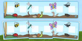 Minibeast Themed Visual Timetable Display - Visual Timetable, minibeast, SEN, Daily Timetable, Display, School Day, Daily Activities, KS1, Foundation Stage, display board, visual timetable display, Daily Routine