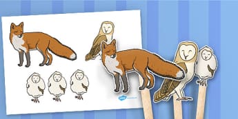 Owl Stick Puppets - owl, stick puppets, puppet, story, characters