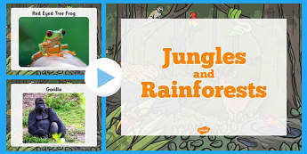 Jungle and Rainforest Photo PowerPoint - powerpoint, power point, interactive, powerpoint presentation, jungle and rainforest, habitats, photo powerpoint, jungle powerpoint, rainforest powerpoint, presentation, slide show, slides, discussion aid, dis