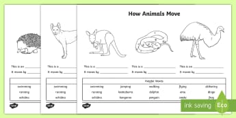 How Animals Move Activity Sheet - Australian Curriculum, biological sciences, animal movement, how animals move, Australian animals, p