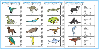 Classification of Vertebrates Cards - vertebrates, different types of vertebrate, classifying vertebrates, vertebrate characteristics cards, animals, ks2