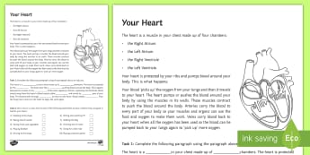 Your Heart Activity Sheet - Science, biology, heart, body, circulation, blood, ks3, sen, salt, worksheet, special educational ne
