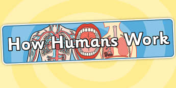 How Humans Work Topic Display Banner - humans, header, ipc