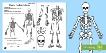 A Moving Skeleton Activity Sheet - amazing fact august, craft, model, amazing fact august, KS1, body, bones, worksheet