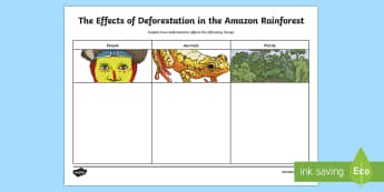 The Effects of Deforestation in The Amazon Rainforest Writing Activity Sheet - World Around Us KS2, Northern Ireland, amazon rainforest, amazon, tropics, deforestation