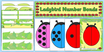 Ready Made Ladybird Number Bonds to Ten Activity and Display Pack (Minibeasts)