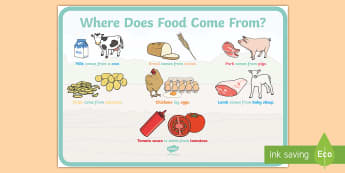 Where Does Food Come From Display Poster - Where Does Food Come From A4 Display Posters - food, display, posters, where does food come from, or