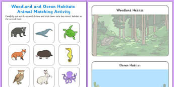 Woodland and Ocean Habitats Animal Sorting Activity Sheet - woodland, ocean, habitats, animal, sorting, sort, worksheet