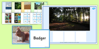 Animals Habitat Matching Word Card Game - word cards, words, cards, animals, habitats, matching game, animals habitats game, key words, flashcards, literacy, words on cards
