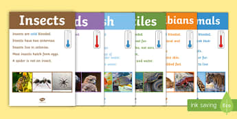 Animal Groups Display Poster Photos - animal groups, display