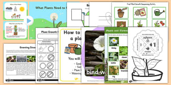 Top 10 Growing Plants Activity Pack