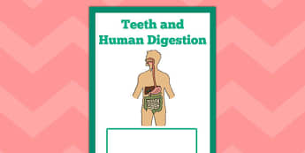 Teeth and Human Digestion Book Cover - teeth, human, digestion
