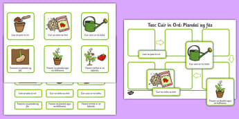 Plant Growth Sequencing Activity Gaeilge - plants, flowers, grow, growing