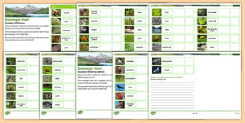 Scavenger Hunt Nature Walk Outdoor Activity