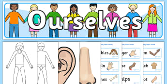 Ourselves Human Body Display Pack - ourselves, human, display