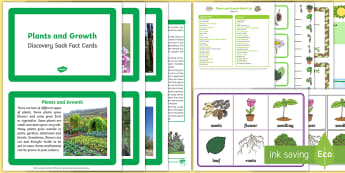 Plants and Growth Discovery Sack - EYFS, Early Years, KS1, plants, flowers, seeds, parts of a plant, roots, life cycle, grow, growth, growing, science, understanding the world