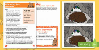 EYFS Hibernating Bears Science Experiment and Prompt Card Pack - EYFS, Early Years, science, autumn, insulation, animals, bears