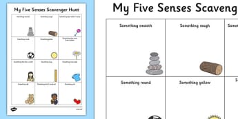 Five Senses Scavenger Hunt Worksheet - Science, Habitats, Australian Curriculum, Living, Environment, Living Things, Animals, Plants, Worksheet, Field Walk, Observations, Senses