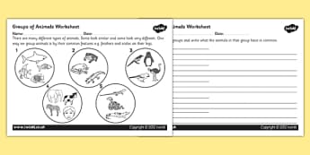 Animal Groups Worksheet - animals, living things, classifying animals, grouping animals, animals worksheet, fish reptiles and mammals, science worksheet