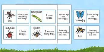 Minibeasts Description Loop Cards - loop cards, cards, flashcards, loop, minibeast loop cards, minibeast description loop card game, descriptions game, adjectives game, literacy, minibeast loop card game, loop games, games, loop game, activity