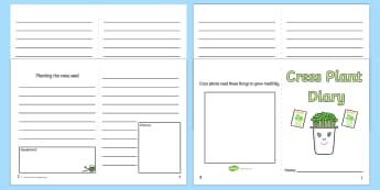 Cress Diary Writing Frame - cress, diary, writing frame, write