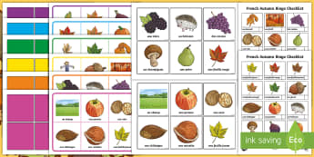 French Autumn Themed Bingo - French, Autumn, Loto, Bingo, KS2, automne, game