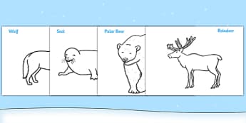 Polar Animals Colouring Sheets - Arctic, winter, xmas, colouring, fine motor skills, poster, worksheet, fox, hare, polar bear, whale, penguin, huskey, snow, winter, frost, cold, ice, hat, gloves