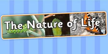 The Nature of Life Photo Display Banner - the nature of life, IPC display banner, IPC, the nature of life display banner, IPC display, nature