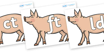 Final Letter Blends on Pigs to Support Teaching on Pig in the Pond - Final Letters, final letter, letter blend, letter blends, consonant, consonants, digraph, trigraph, literacy, alphabet, letters, foundation stage literacy