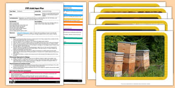 Honeycomb Printing EYFS Adult Input Plan and Resource Pack - lesson plan, plans