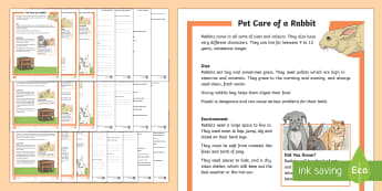 KS2 Pet Care of a Rabbit Differentiated Reading Comprehension Activity - KS2, comprehension, reading, reading comprehension, reading activity,pets, looking after a pet, cari