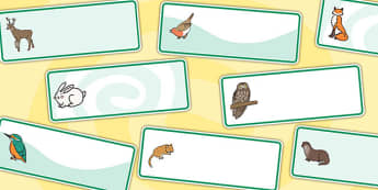 Green Editable Animal Drawer Labels - editable labels, animals, animal labels, drawer peg labels, drawer labels, peg labels, name labels, themed labels