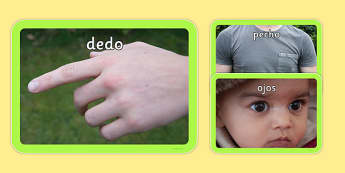 Parts of the Body Photo Pack Spanish - spanish, pictures, images, information, visual aid, group, science, nature, people, legs, arms, head, photographs, ks1, ks2