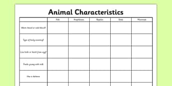Animal Characteristics Activity Sheet - living things, habitats, variation, classification, grouping, vertebrates, characteristics, worksheet