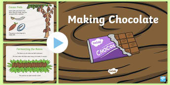 Making Chocolate PowerPoint - CfE Fairtrade, chocolate, cacao, cocoa, pod, willy wonka, chocolate factory, food origins, ,Scottish