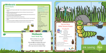Minibeasts Small World Play Idea and Printable Resource Pack - Minibeasts, insects, smallworld, role-play, imaginary play, insects, EYFS, mud, recipe, worms