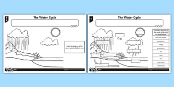 The Water Cycle Activity Sheet - water cycle, activity, sheet, worksheet